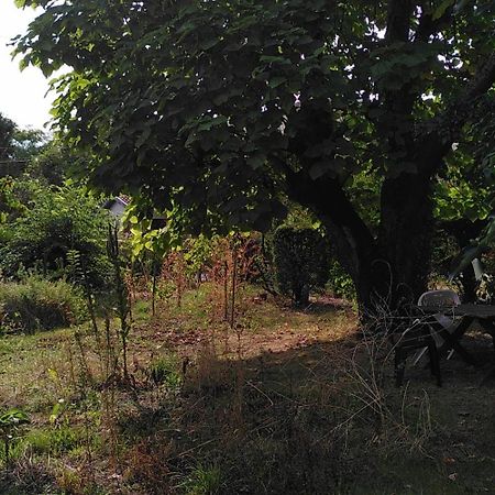 Villa Lulu Mérignac Exteriör bild