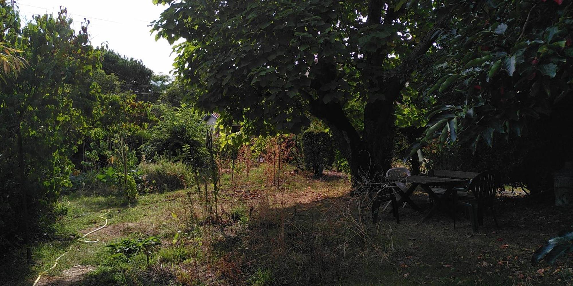 Villa Lulu Mérignac Exteriör bild
